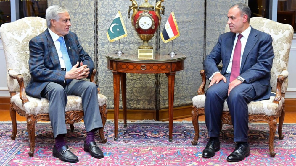 Egyptian FM to visit Pakistan today with 'strategic direction' on agenda